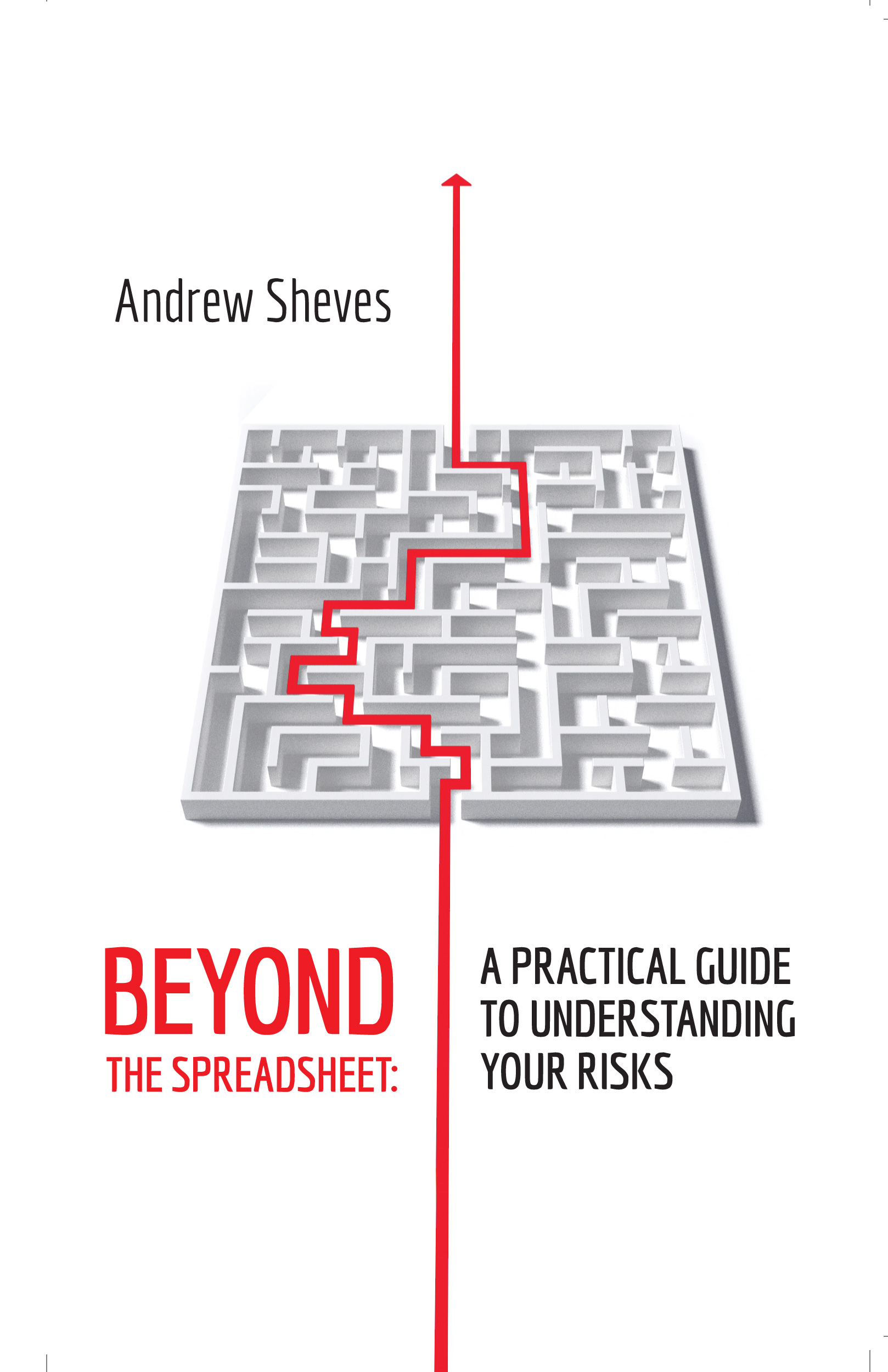 Cover image for Beyond The Spreadsheet